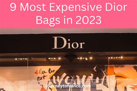 cosa meno costosa dior|most expensive dior bags.